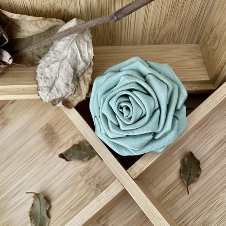 celadon20b celadon20b