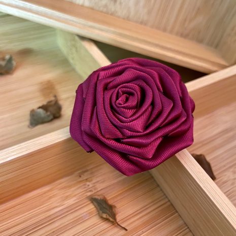 fuchsia20b fuchsia20b