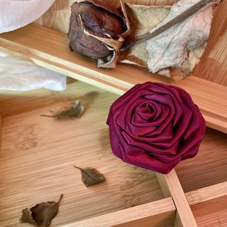 fuchsia20e fuchsia20e