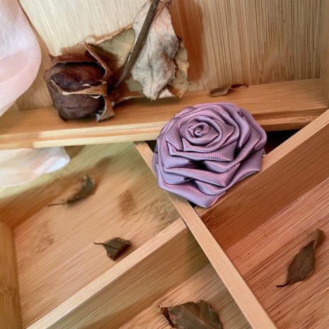 periwinkle20d periwinkle20d