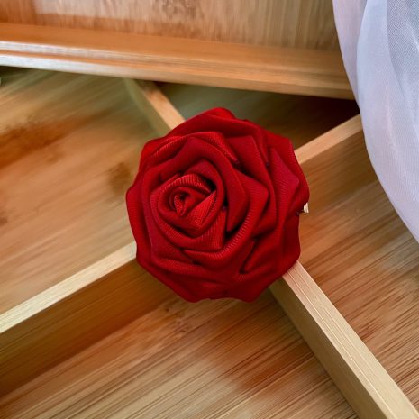 scarlet20b scarlet20b