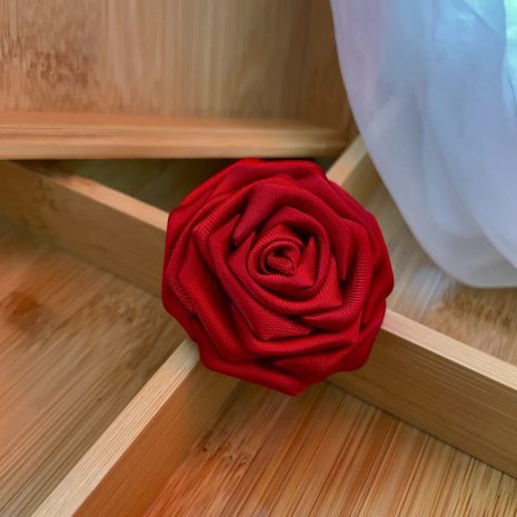 scarlet20c scarlet20c