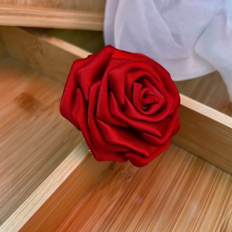 scarlet20d scarlet20d