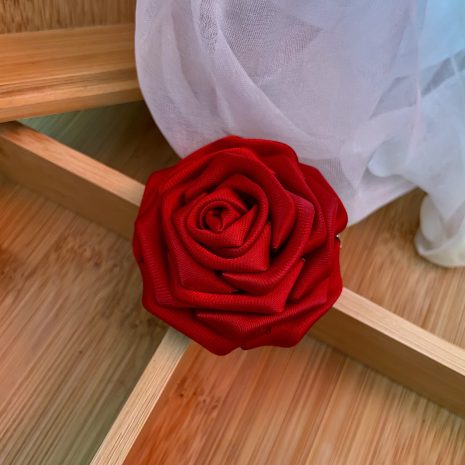 scarlet20e scarlet20e